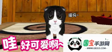 小猫历险记 小猫历险记