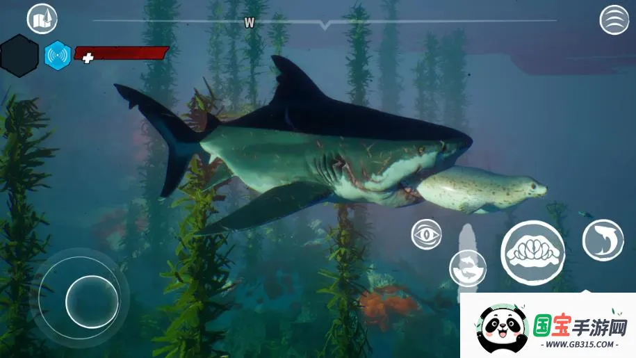 食人鲨手机版v1.4.2 免费版截图2