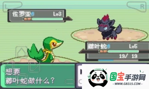 �ڴ�������ڵ���Ӱex bw����2026�ٷ�����