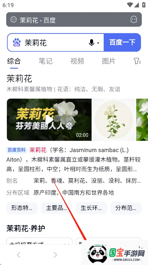 蓝奏浏览器下载 蓝奏浏览器下载