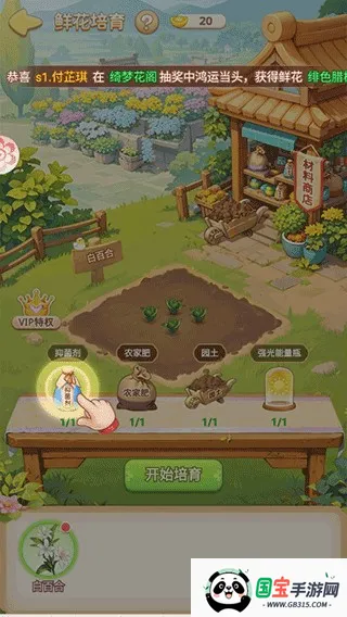 我的花园世界破解版 我的花园世界破解版