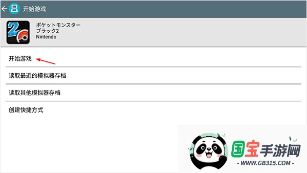 口袋妖怪心金银魂