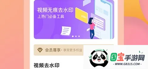 ����ˮӡ(��Ƶȥˮӡ����)