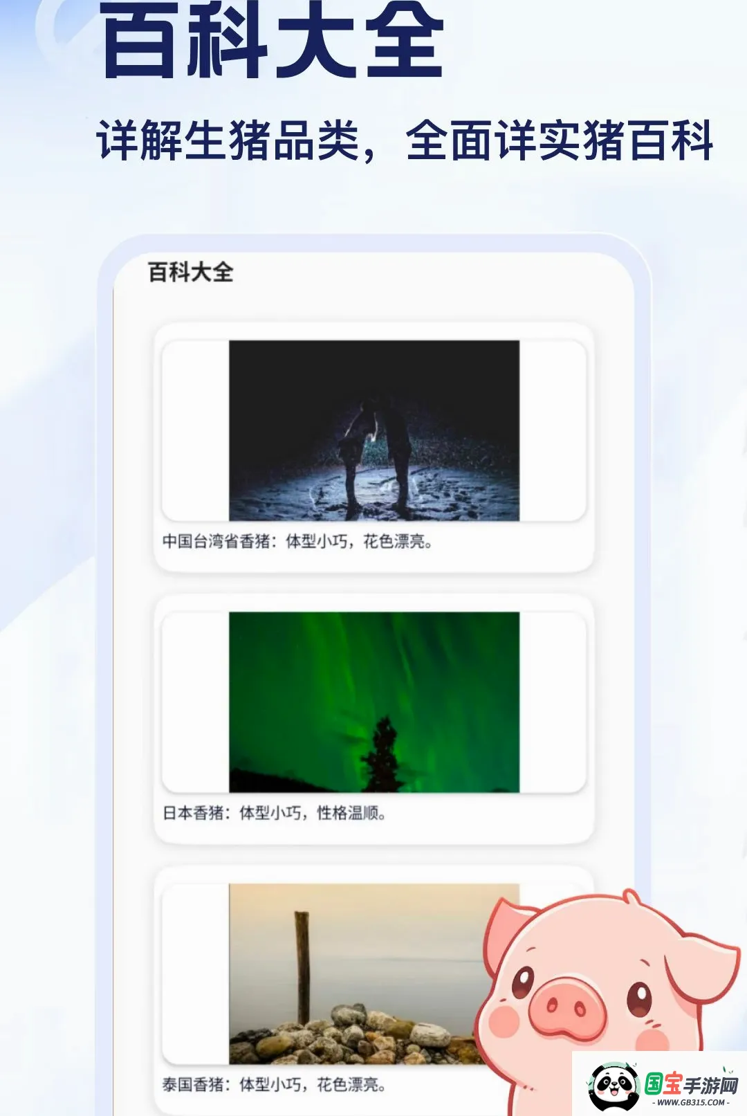 猪了APP截图3