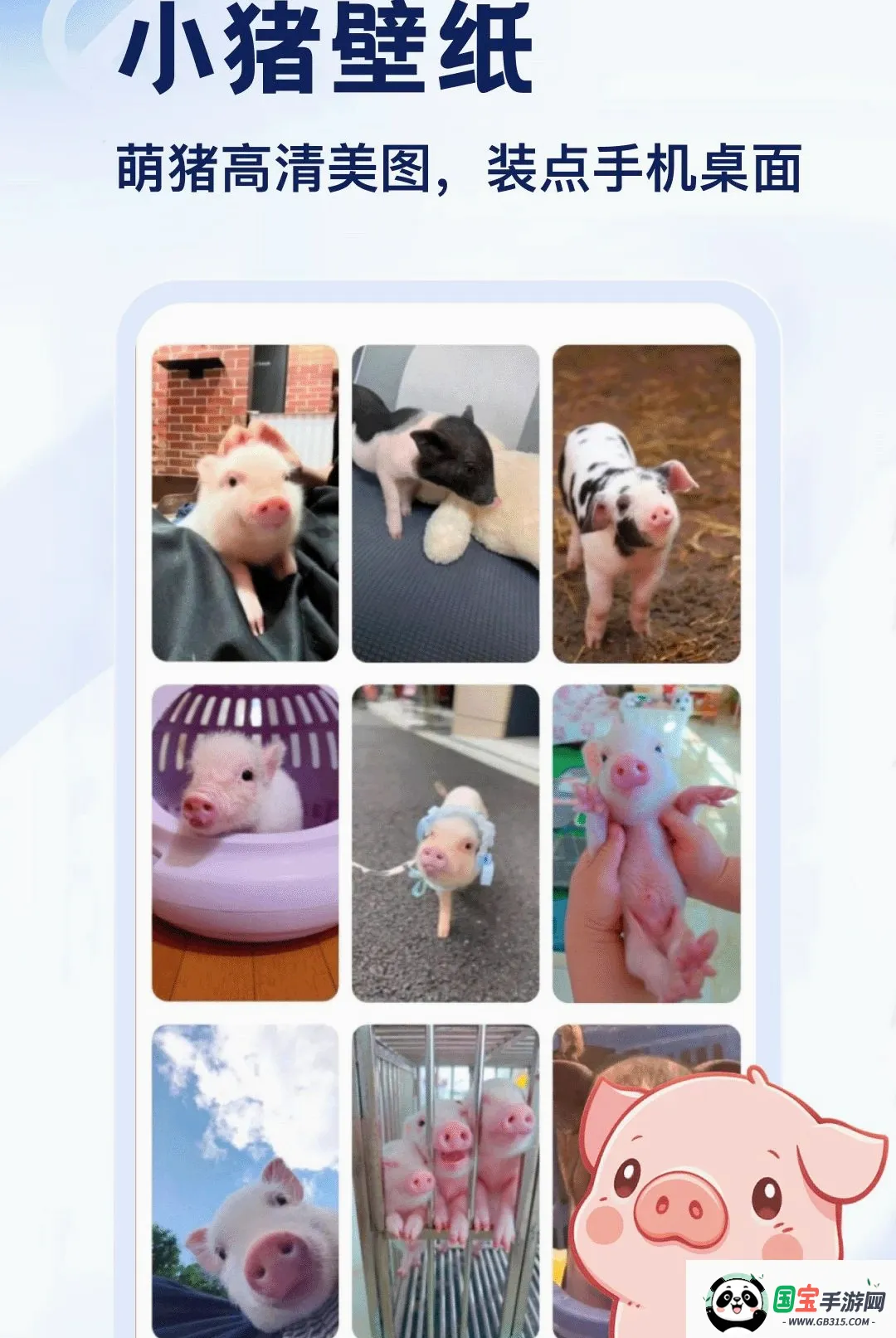 猪了APP截图1
