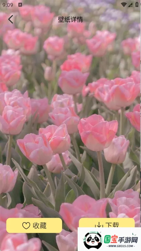 �Ⱦޱ�ֽ2026���°汾v1.1 �ٷ������ͼ1