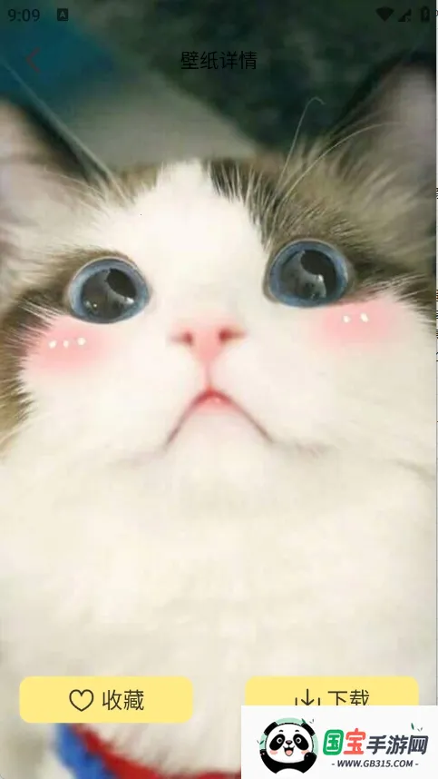 �Ⱦޱ�ֽ2026���°汾v1.1 �ٷ������ͼ4