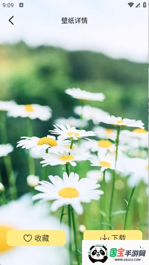 �Ⱦޱ�ֽ2026���°汾