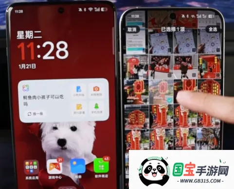 oppo����2026���°汾