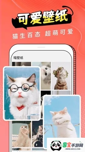 Cat Translation2026最新版本v3.1.5 安卓版截图1