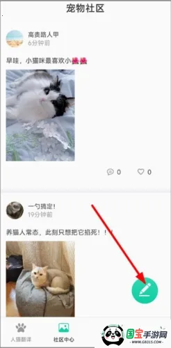 Cat Translation2026最新版本 Cat Translation2026最新版本