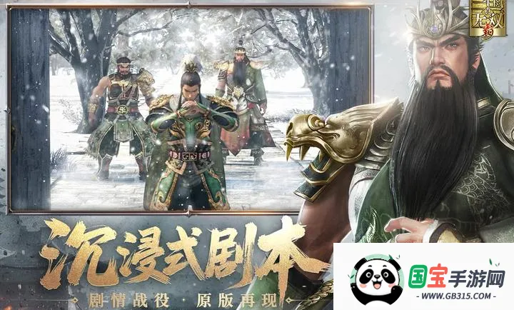 真?三国无双 霸安卓版手机版v1.0.2 免费版截图2
