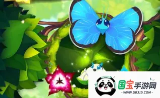 彩翼蝴蝶保护区最新 彩翼蝴蝶保护区最新