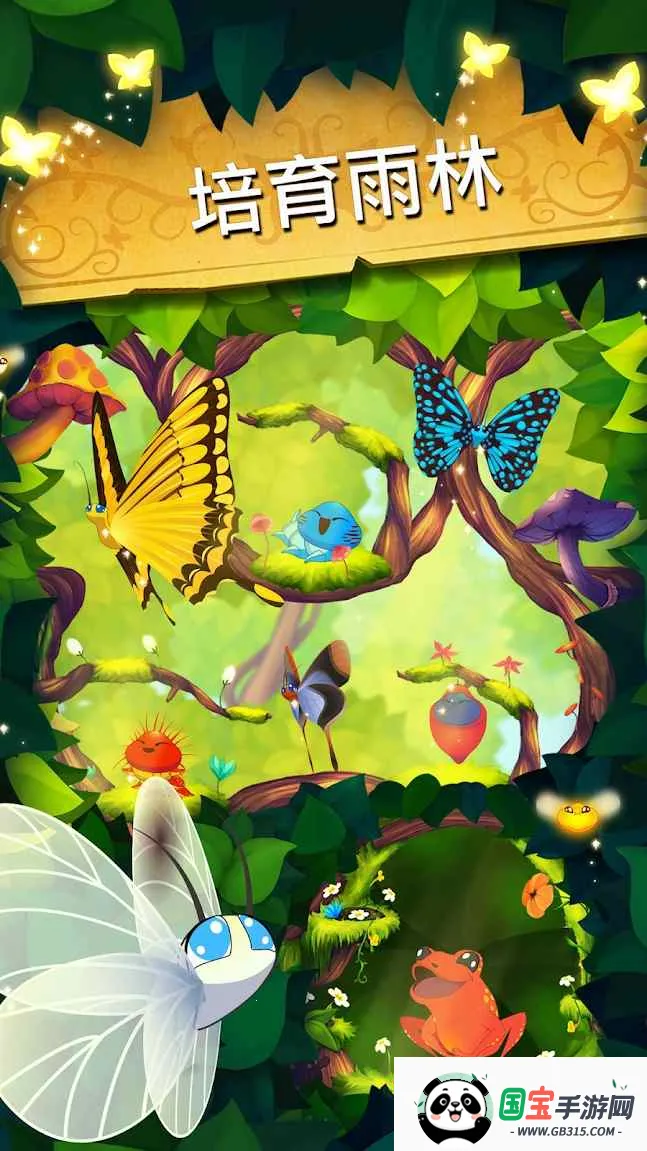 彩翼蝴蝶保护区最新 彩翼蝴蝶保护区最新