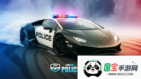 owrc警察追逐模拟器辅助菜单中文v1.0046 官方正版截图2
