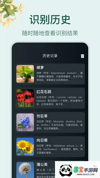 小园丁追剧 小园丁追剧