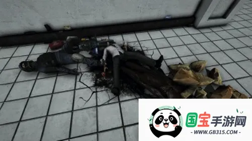 sl����ʵ����2026�ٷ�����