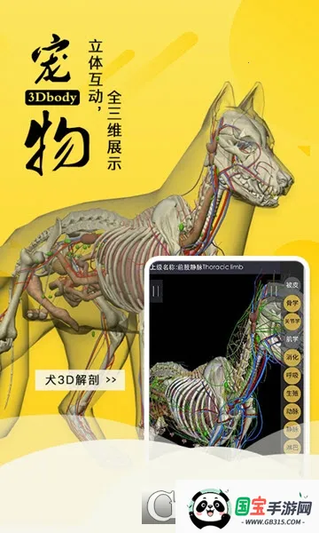 3dbody宠物中文版 3dbody宠物中文版