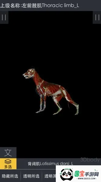 3dbody宠物中文版 3dbody宠物中文版