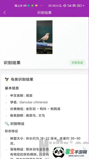 ʶ��2026���°汾