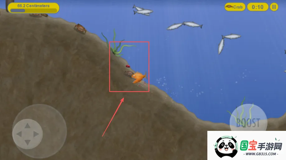 ��ζ���������