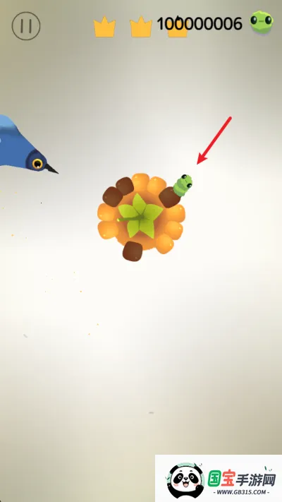 pigeon疯狂的鸽子 pigeon疯狂的鸽子