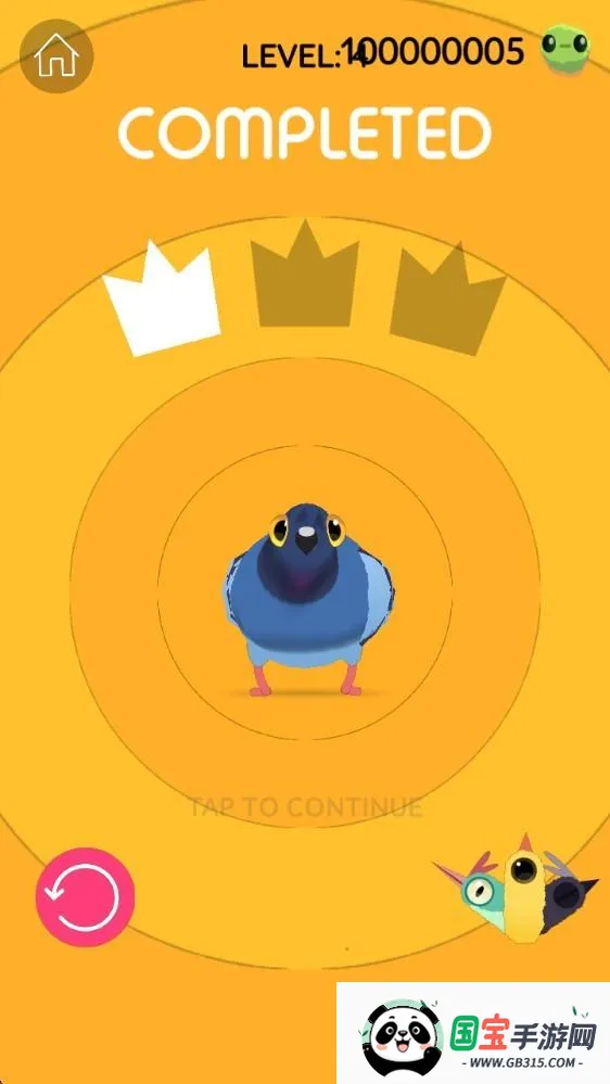 pigeon疯狂的鸽子 pigeon疯狂的鸽子