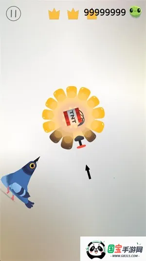 疯狂的鸽子2026官方最新版本 疯狂的鸽子2026官方最新版本