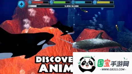 虎鲸模拟器(虎鲸生存模拟游戏)v1.2.5 免费版截图2