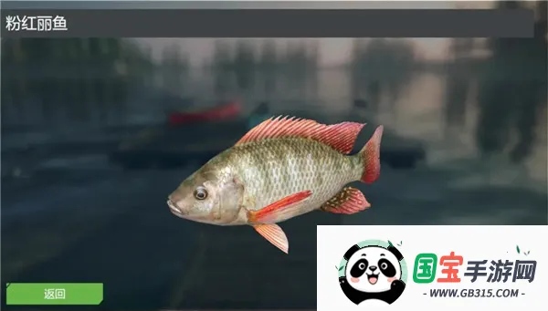 终极钓鱼模拟器安卓版手机版 终极钓鱼模拟器安卓版手机版