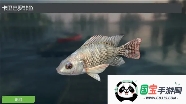 终极钓鱼模拟器安卓版手机版 终极钓鱼模拟器安卓版手机版