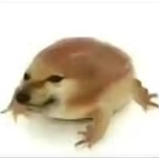 �ҵĵ���(�������Ӧ��)v1.0 ��׿���ͼ0