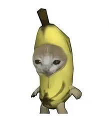 比比拉布2026最新版本v1.0 官方正版截图0