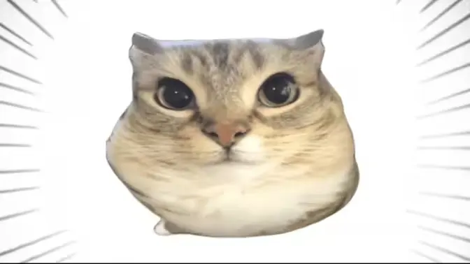 巴巴博一最新手机版v1.0 免费版截图0