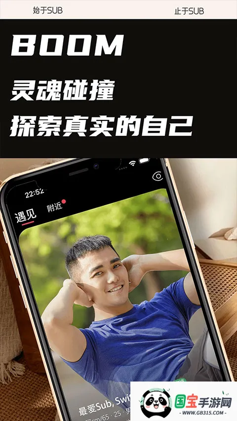 SUB(���Ļ�����ƽ̨)��ͼ1