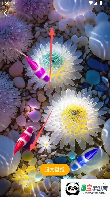 锦鲤金鱼壁纸(壁纸软件功能全) 锦鲤金鱼壁纸(壁纸软件功能全)