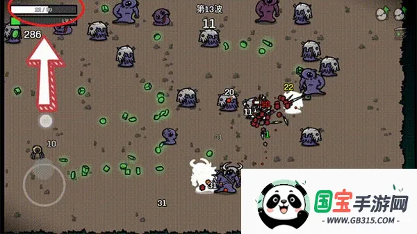 �����ֵܶ���������2026�ٷ�����