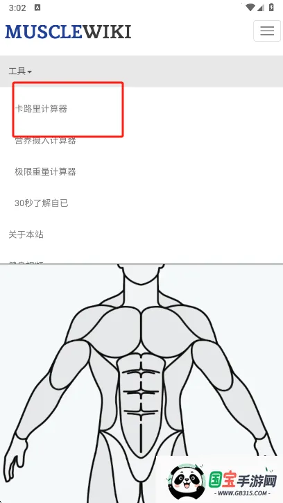 Muscle Wiki