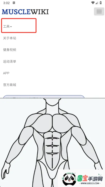 Muscle Wiki
