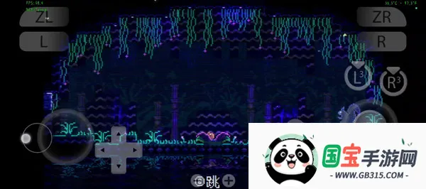 ���ﾮAnimalWell