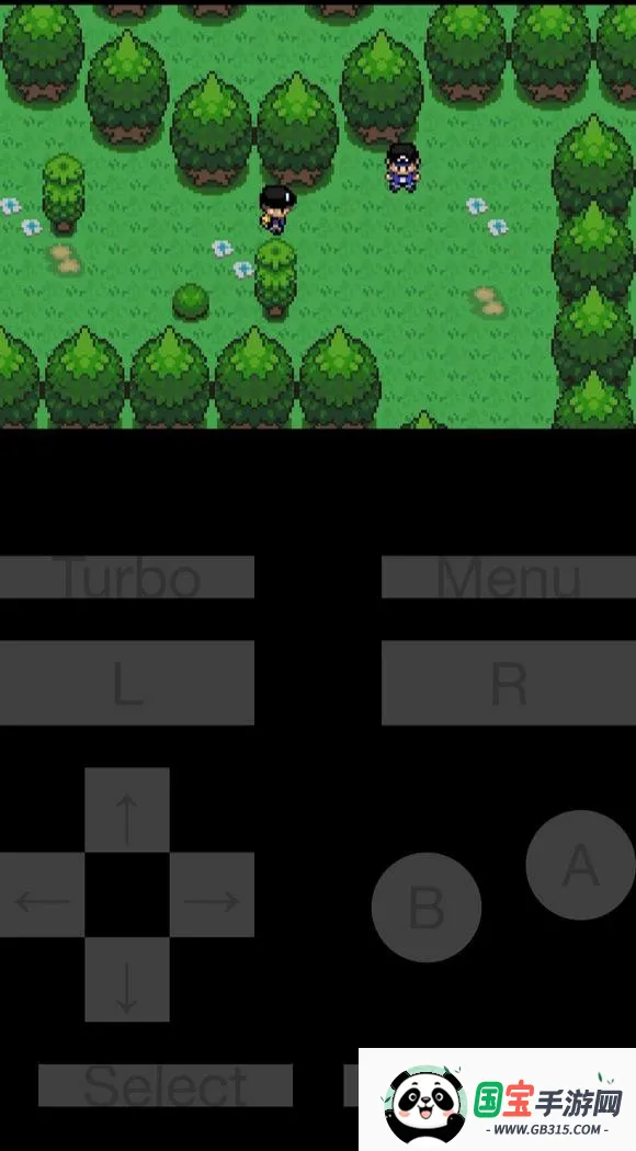 �ڴ���������Ǻ�