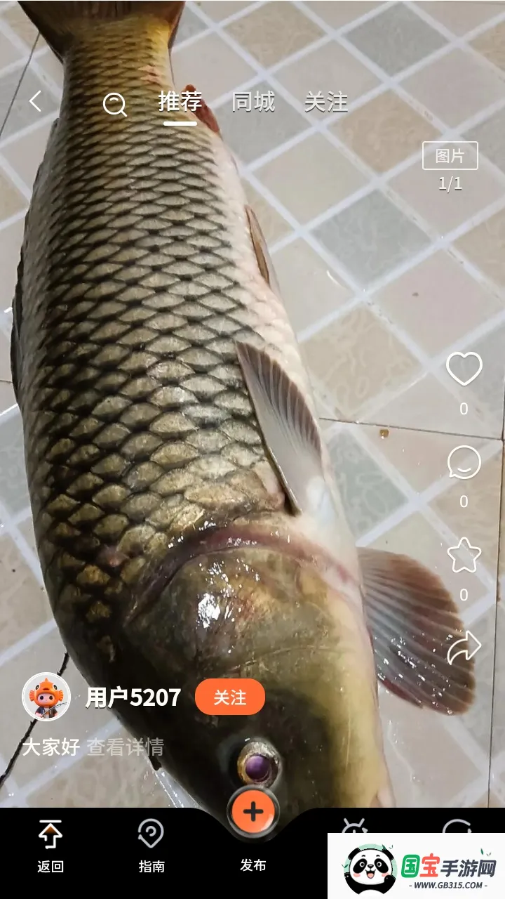 小红鱼(钓鱼辅助软件) 小红鱼(钓鱼辅助软件)