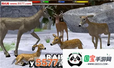 ForestSim(森林模拟游戏)v1.2 官方正版截图2