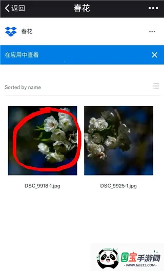 dropbox2026下载安装 dropbox2026下载安装