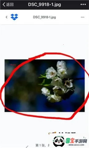 dropbox2026下载安装 dropbox2026下载安装