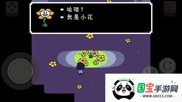 传说之下bnp模组(怪物与人类传说)v5.0.0 手机版截图0