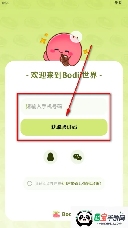 Bodii��������