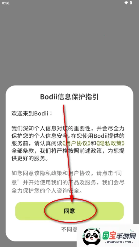 Bodii��������