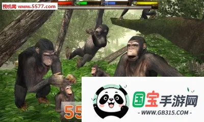 ���ֶ���ģ����2026���°汾v1.2 �ֻ����ͼ2