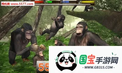���ֶ���ģ����2026���°汾v1.2 �ֻ����ͼ0